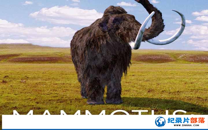 纪录片部落-高清纪录片下载:史前生物纪录片《猛犸象：冰河世纪的巨兽 Mammoths Giants of the Ice Age》全1集 -高清标清1080P720P360P网盘下载