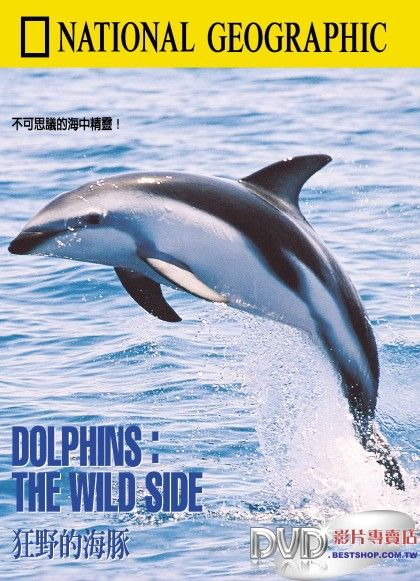 纪录片部落纪录片nationalgeographic纪录片海豚狂野的一面dolphins