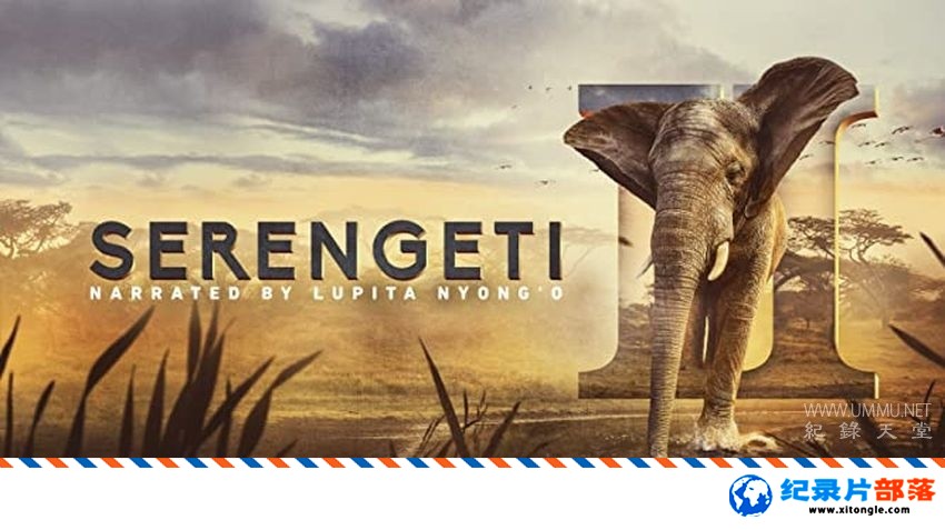BBC纪录片《塞伦盖蒂 Serengeti 2021》第二季 全6集 4K/1080P超清下载