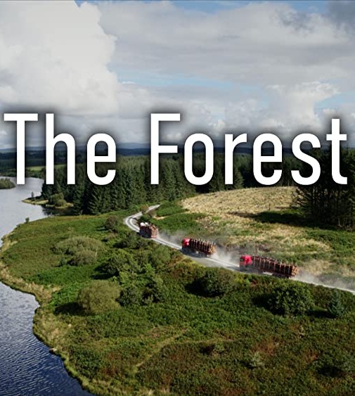 纪录片资源站-高清纪录片下载:BBC自然风光纪录片《森林 / The Forest / 森林隐秘世界》-纪录片资源1080P/720P/360P高清标清网盘迅雷下载