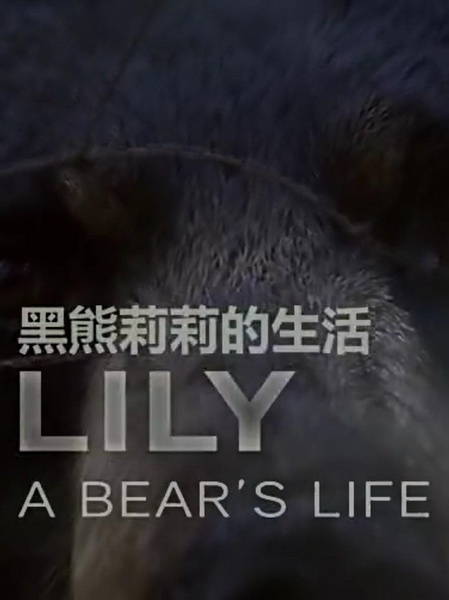 纪录片资源站-高清纪录片下载:BBC自然风光纪录片《莉莉 一头熊的生活 / Lily, A Bear's Lif》-纪录片资源1080P/720P/360P高清标清网盘迅雷下载