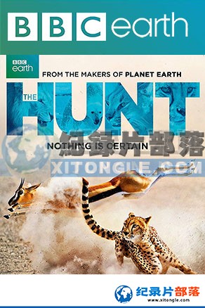 纪录片资源站-高清纪录片下载:BBC动物纪录片-《掠食猎战》The Hunt-1080P/720P/360P高清标清网盘迅雷下载-高清纪录片资源网盘迅雷下载